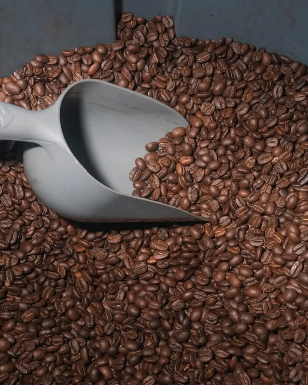 The Roastery
